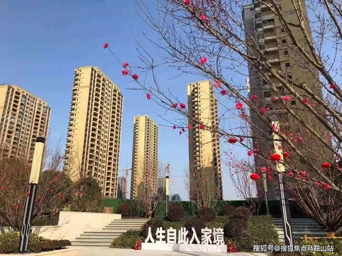 鎮江新盤速遞 一站式獲取樓盤動態、地址戶型與教育資源解析