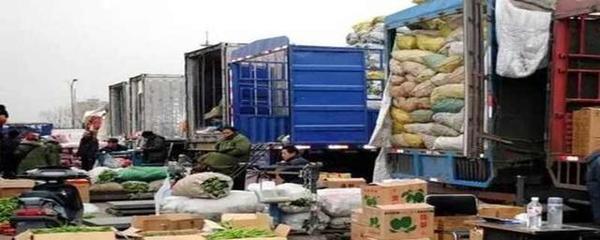 芭蕉為何不屬于鮮活農產品運輸“綠色通道”免費范圍