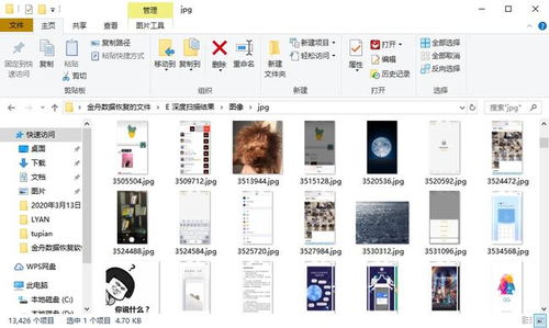 電腦數據恢復軟件推薦 有哪些好用的工具？
